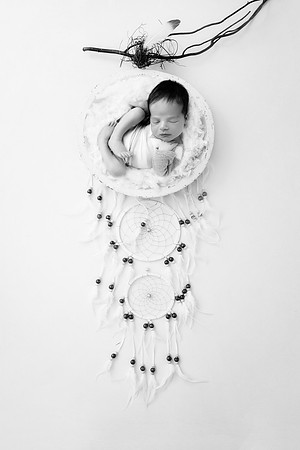JULIAN_11DAYS-107