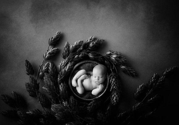 ARCHER_12DAYS-59