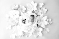EMMA_33DAYS-14
