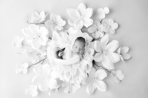 EMMA_33DAYS-14