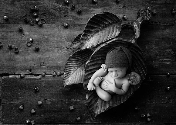 NIKOLAS_12DAYS-19