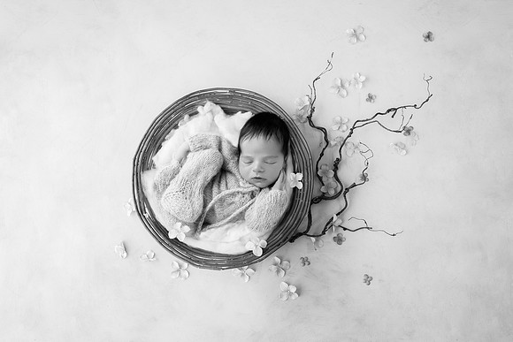 JULIAN_11DAYS-112