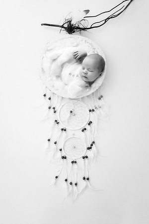 ARCHER_12DAYS-25