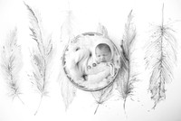CADEN_8DAYS-2