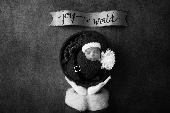 JULIAN_11DAYS-78