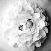 EMMA_33DAYS-4