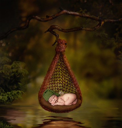 ARCHER_12DAYS-1