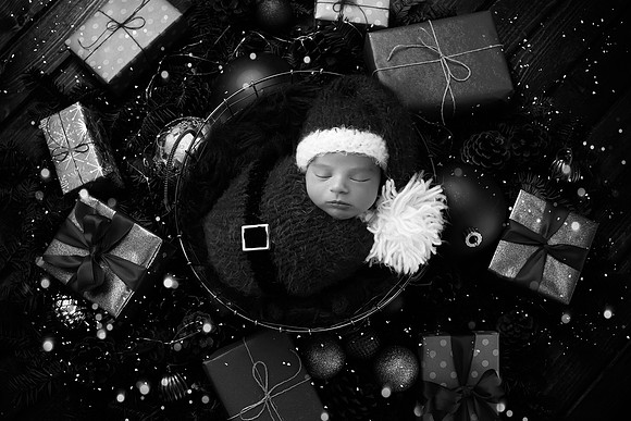 JULIAN_11DAYS-80