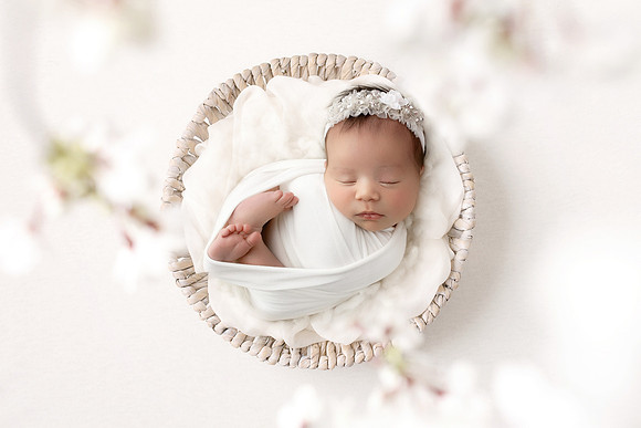 ANASTASIA_11DAYS-29