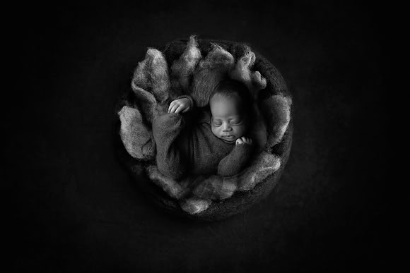 AUGUST_11DAYS-50