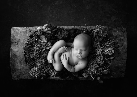 ARCHER_12DAYS-8