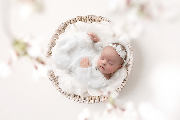 PIERCE_35 DAYS-73