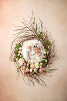 NORA_12DAYS-14