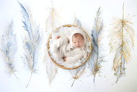 CADEN_8DAYS-1