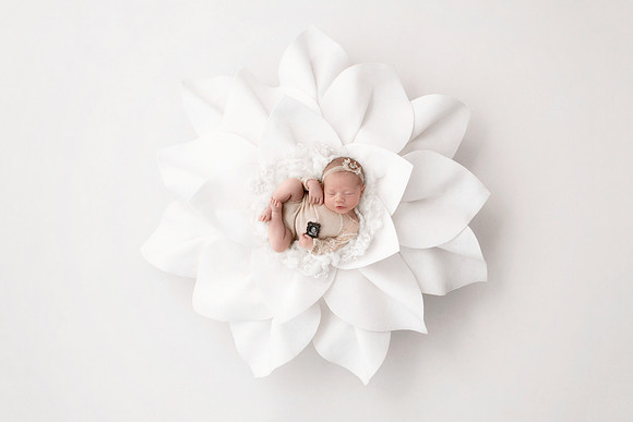 JOSEPHINE_JEAN_14DAYS-14