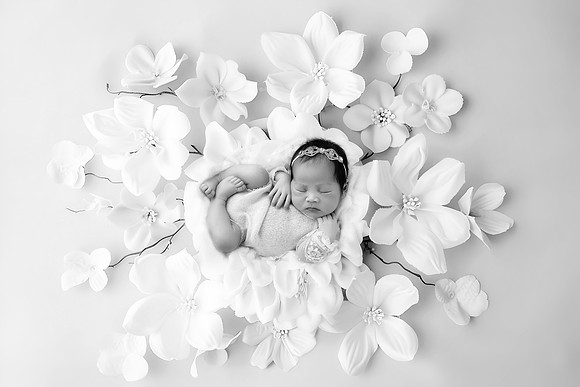 IVORY_10DAYS-7
