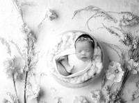 ELIANA_13DAYS-2