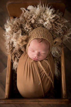 TEDDY26