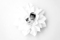 PILAR_11DAYS-2