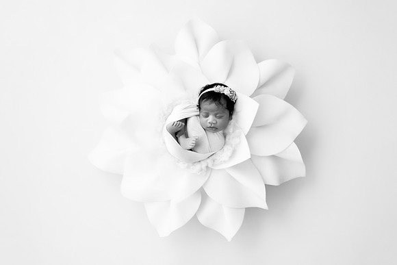 PILAR_11DAYS-2