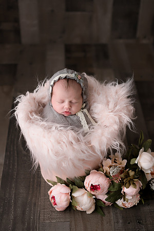WILLOW_19