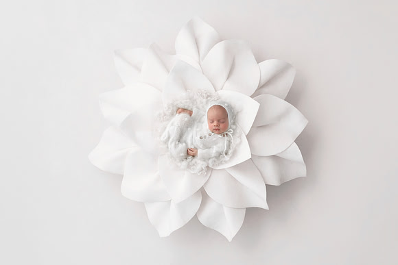 PIERCE_35 DAYS-52