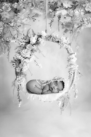 LOLA_15DAYS-2