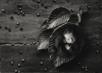 WATSON_5DAYS_4