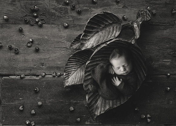 WATSON_5DAYS_4