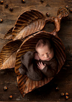 WATSON_5DAYS_5