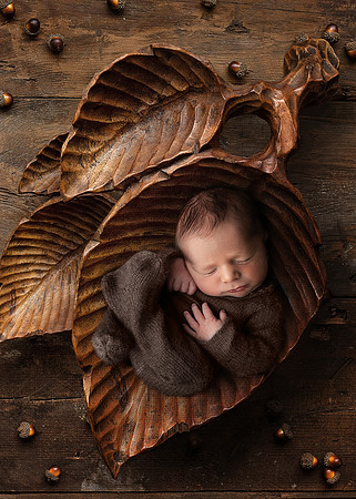 WATSON_5DAYS_5