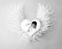 GRAYSON_8DAYS-15