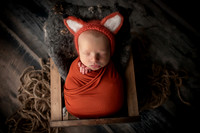 ZIGGY_9DAYS_15