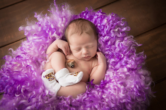 TEDDY29