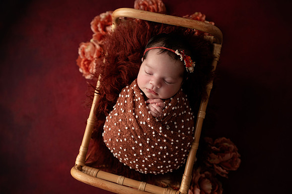 AAROHI_14DAYS_15