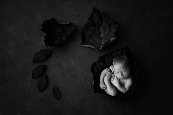 HOLDEN_13DAYS-8