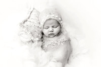 WILLOW_7bw