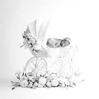 PARKER_10DAYS-2