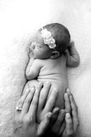 JOSEPHINE_JEAN_14DAYS-7bw