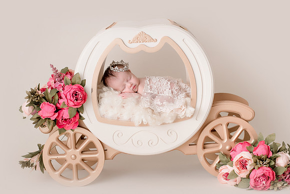 WILLOW_55-2
