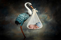 THEODORE RAY_1