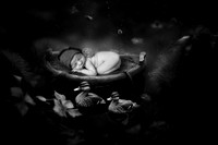 RYKER_15DAYS-19