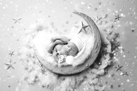 NOAH_14DAYS-8