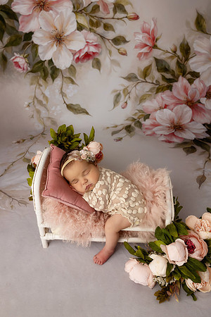 LOLA_15DAYS-15