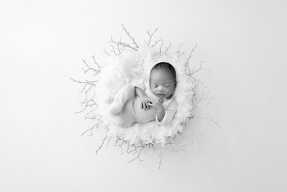 WOLFE_20DAYS-21