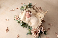 EVERLEIGH_7DAYS-9