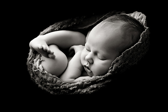 WILLOW_33