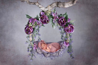 EVERLEIGH_7DAYS-1