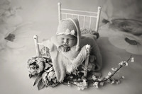 VIVIAN_11DAYS_16