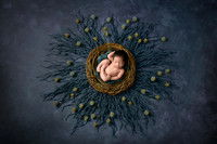 JULLIAN_11DAYS-18